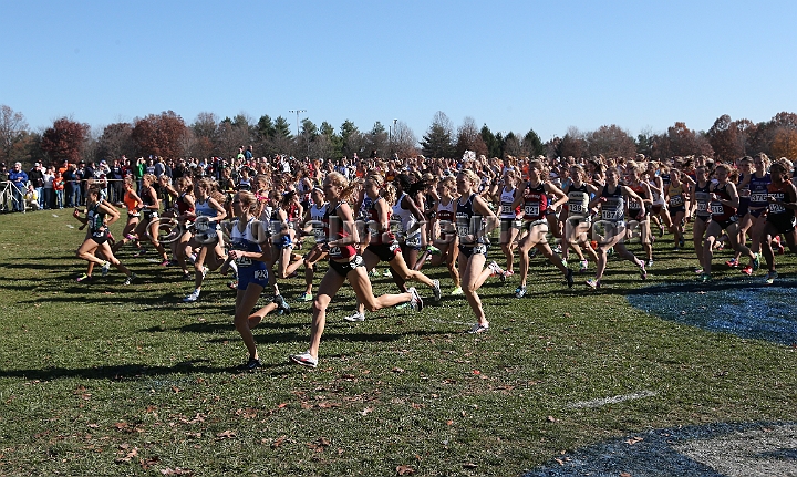 2012NCAA XC-017.JPG - 2012 NCAA D1 Cross Country Championships, November 17, 2012, held in Louisville, KY.